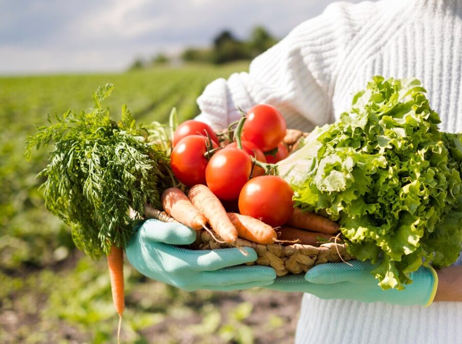 food service produção de alimentos