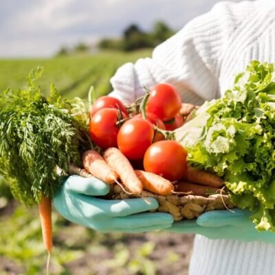 food service produção de alimentos